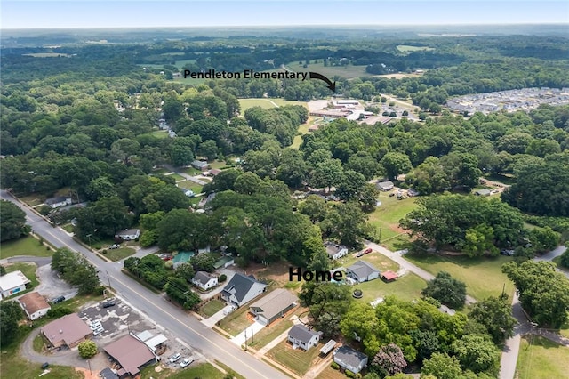 710 Greenville St, Pendleton, SC 29670 - drone / aerial view of a forest
