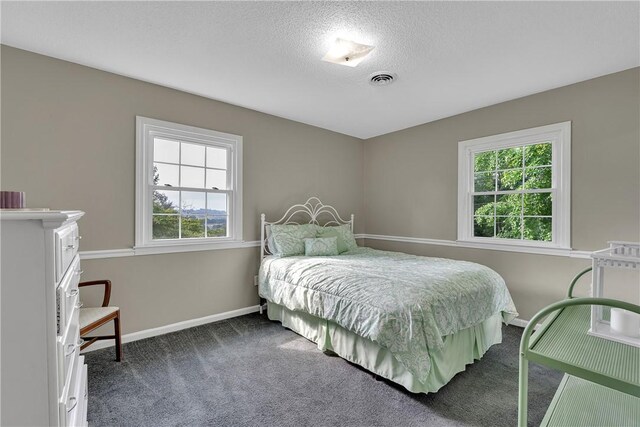 12 Ridgeline Dr, Liberty, SC 29657 - photo 13