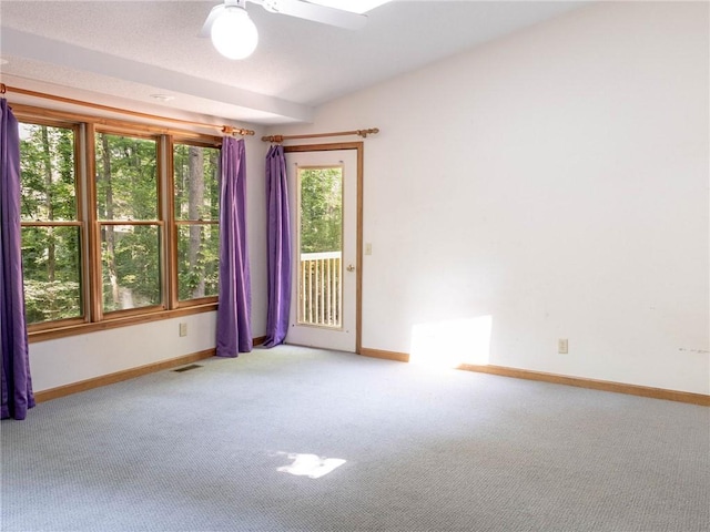 116 Shaftsbury Rd, Clemson, SC 29631 - photo 25