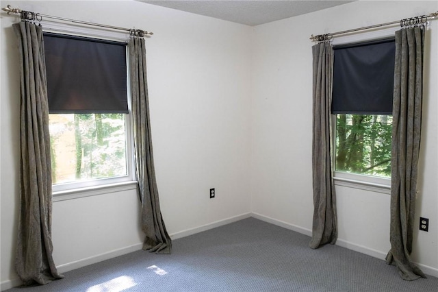 116 Shaftsbury Rd, Clemson, SC 29631 - photo 34