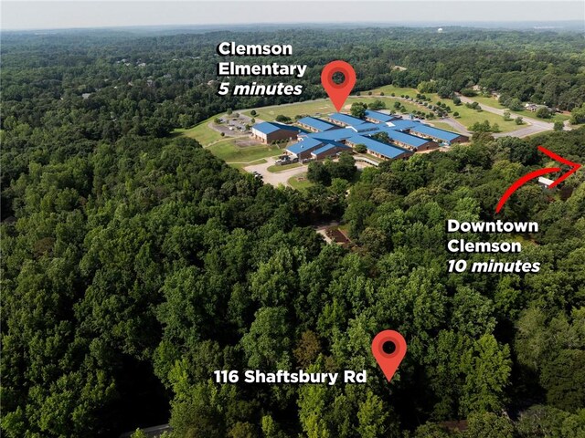 116 Shaftsbury Rd, Clemson, SC 29631 - photo 48