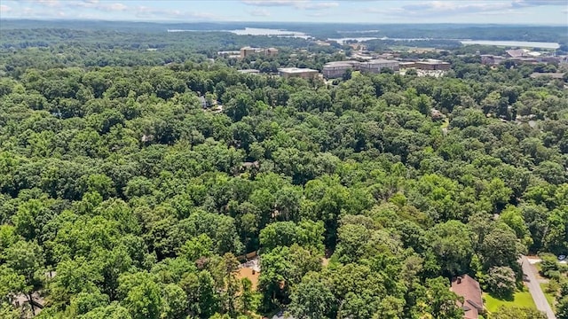 333 Woodland Way, Clemson, SC 29631 - bird's eye view of a heavily wooded area