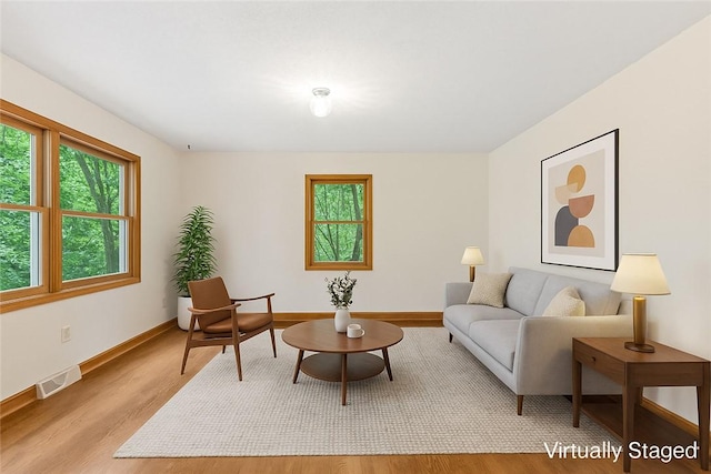 1121 Ireland Rd, Pickens, SC 29671 - living room with light wood-style floors and baseboards