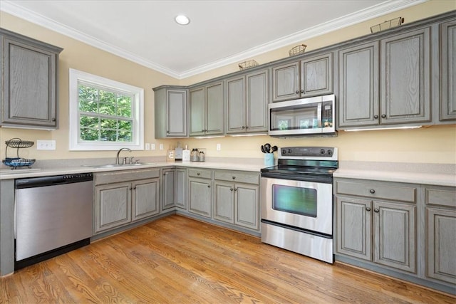 149 Summers Way, Seneca, SC 29672 - kitchen featuring stainless steel appliances, gray cabinets, a sink, crown molding, and light countertops