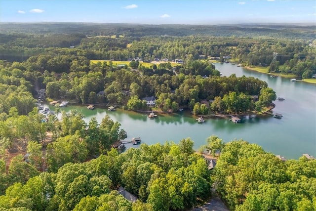 149 Summers Way, Seneca, SC 29672 - bird's eye view of a forest and a large body of water