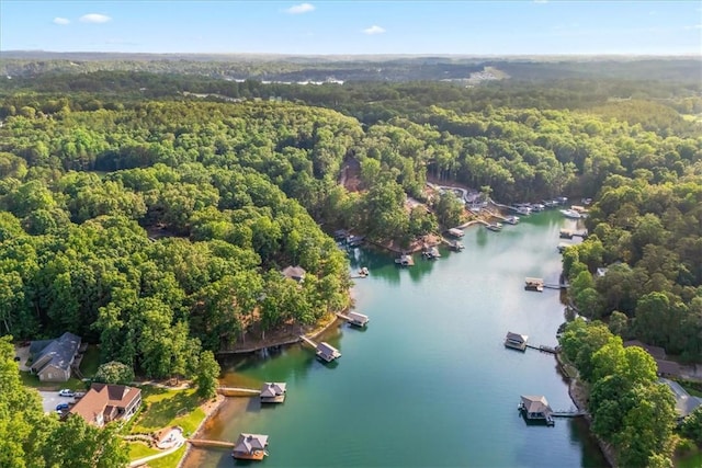 149 Summers Way, Seneca, SC 29672 - aerial view of a forest and a nearby body of water