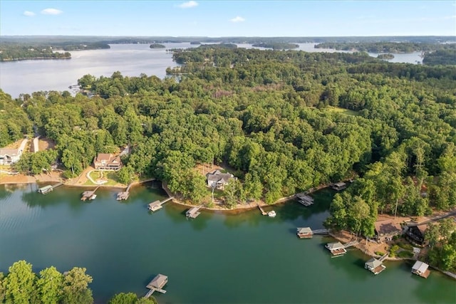 149 Summers Way, Seneca, SC 29672 - view of property location with a nearby body of water and a heavily wooded area