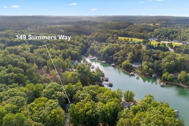 149 Summers Way, Seneca, SC 29672 - bird's eye view of a forest and a large body of water