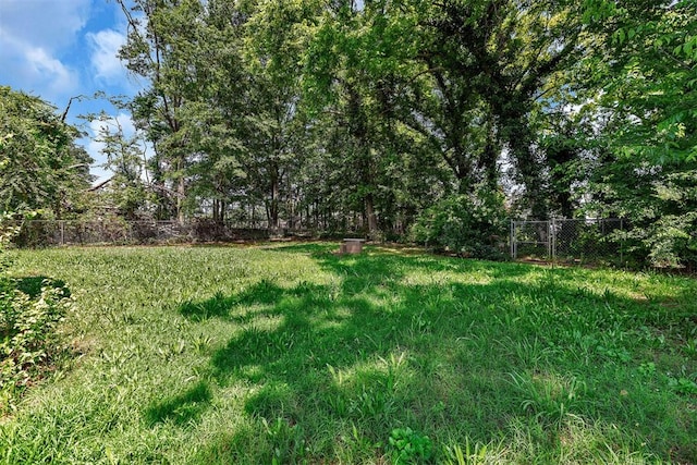 301 Wardlaw St, Anderson, SC 29624 - view of yard