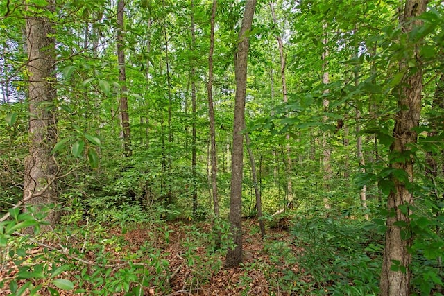 125 Brookwood Rd, Seneca, SC 29678 - view of tree filled area