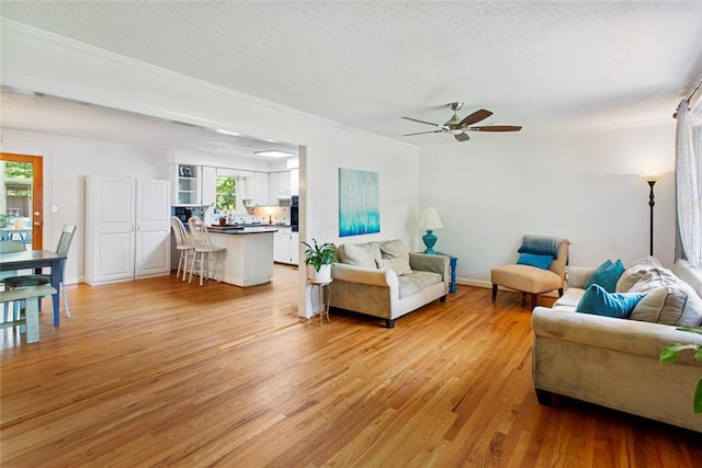 125 Brookwood Rd, Seneca, SC 29678 - living area with healthy amount of natural light, a textured ceiling, light wood-type flooring, ceiling fan, and crown molding