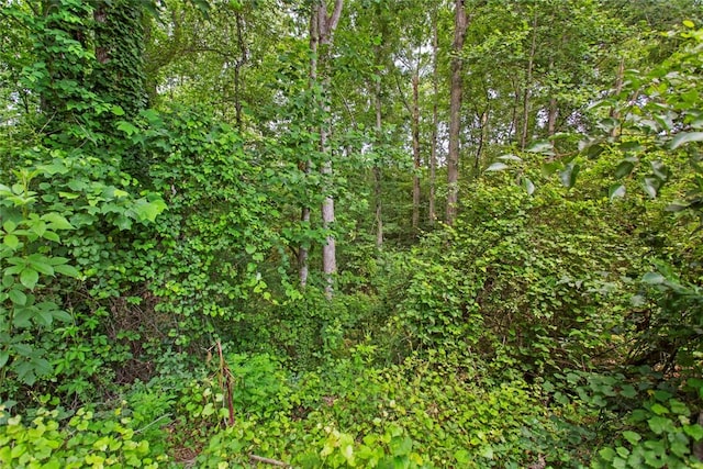 125 Brookwood Rd, Seneca, SC 29678 - view of tree filled area
