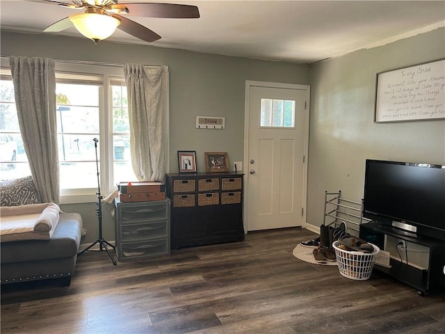 650 Marcengill Rd, Westminster, SC 29693 - foyer with ceiling fan, healthy amount of natural light, and dark wood-style floors