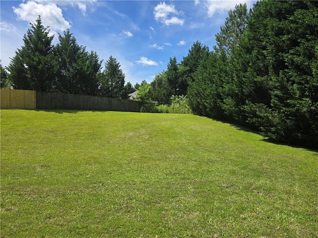 605 Spirit Mountain Ln, Easley, SC 29640 - view of yard