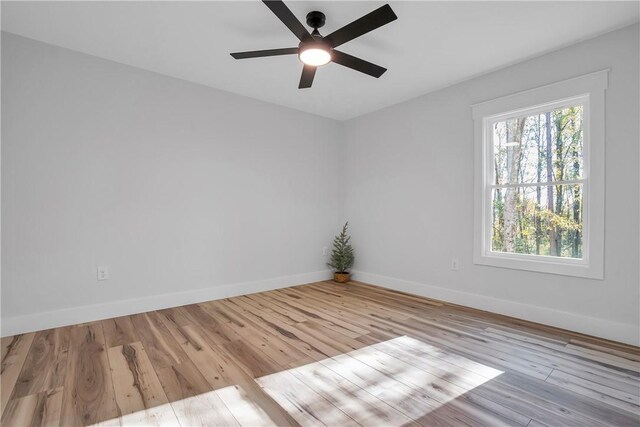 404 Holly Ridge Dr, Anderson, SC 29621 - photo 29