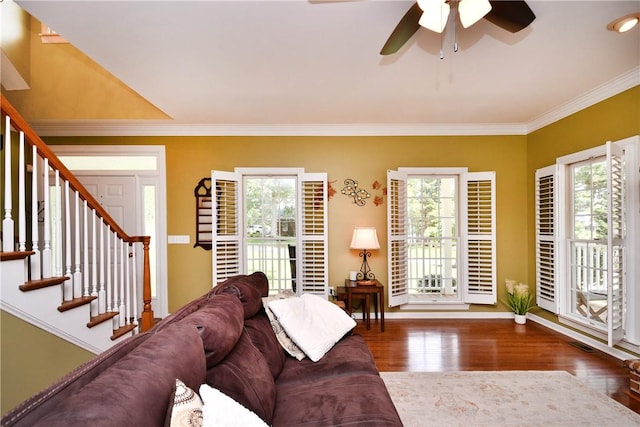 203 Tulip Tree Ct, Easley, SC 29642 - living area with wood finished floors, ceiling fan, ornamental molding, stairway, and baseboards