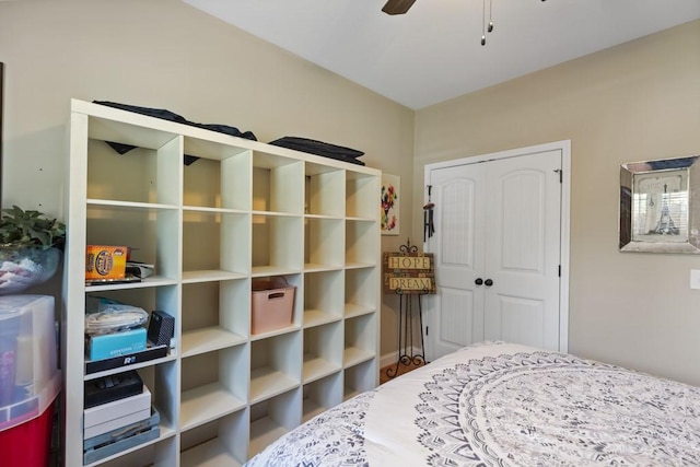 6352 Valley Farm Rd, Seneca, SC 29678 - bedroom with a closet and ceiling fan