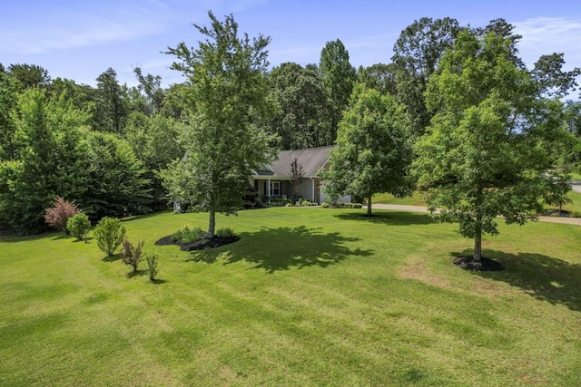 6352 Valley Farm Rd, Seneca, SC 29678 - view of green lawn