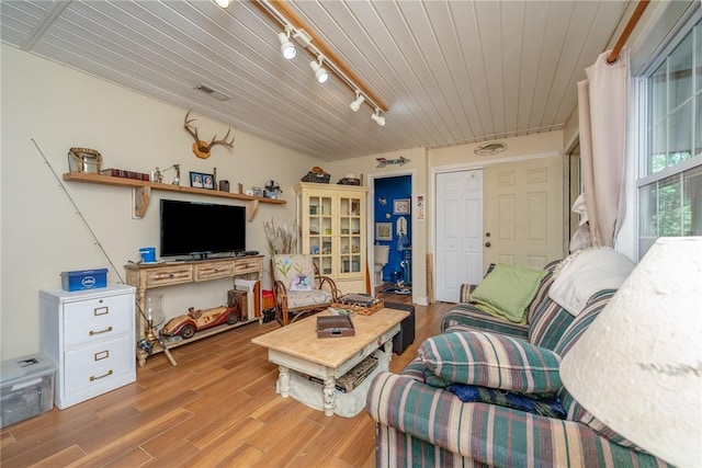 79 Blue Heron Cv, Abbeville, SC 29620 - living room with track lighting, light wood-style flooring, and wood ceiling