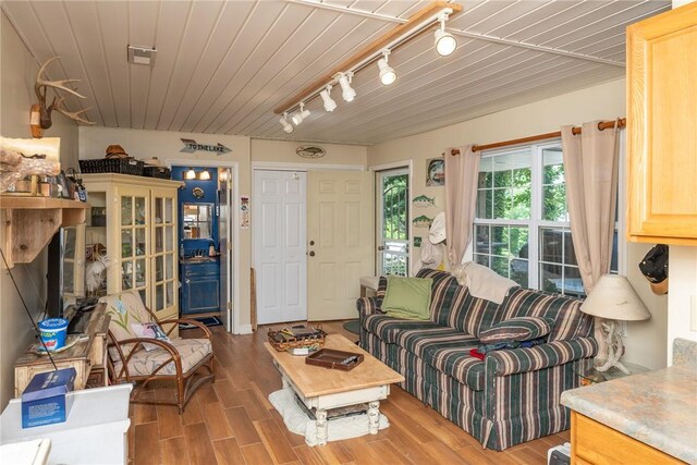 79 Blue Heron Cv, Abbeville, SC 29620 - living area with track lighting and wood finished floors