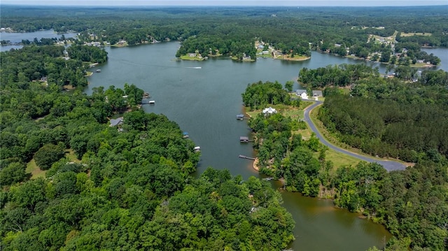 79 Blue Heron Cv, Abbeville, SC 29620 - aerial overview of property's location with a forest and a nearby body of water
