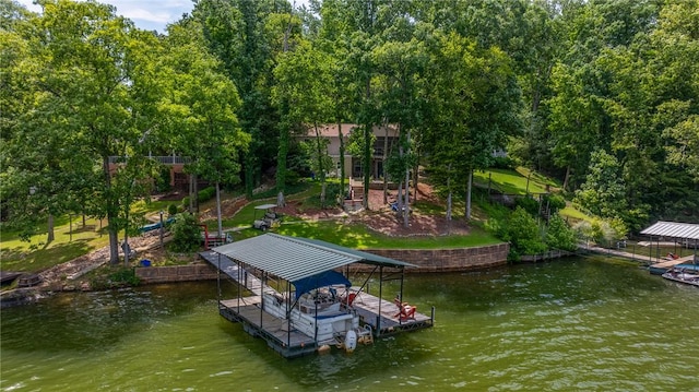 79 Blue Heron Cv, Abbeville, SC 29620 - dock area with boat lift and a water view