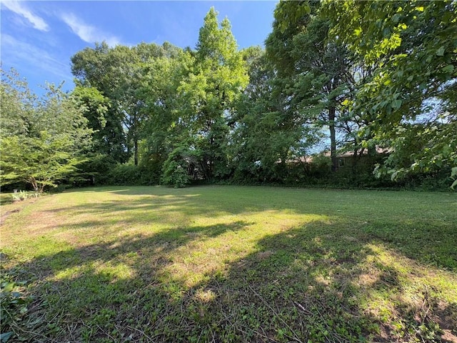 102 Buckingham Ct, Easley, SC 29640 - view of green lawn