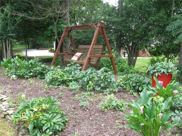307 Holly Ridge Dr, Anderson, SC 29621 - view of play area