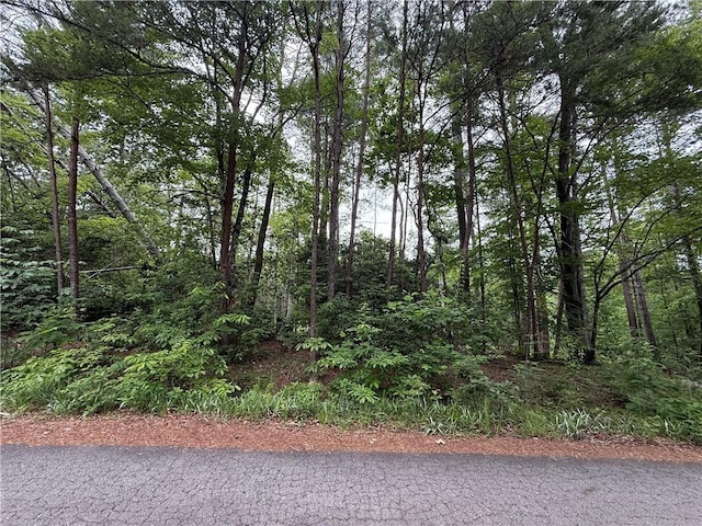 318 Gauley Falls Rd, Pickens, SC 29671 - photo 1