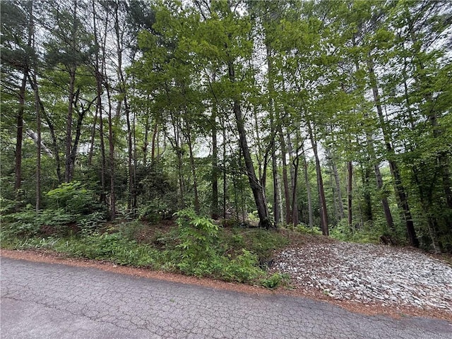 318 Gauley Falls Rd, Pickens, SC 29671 - photo 2