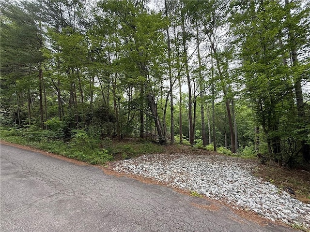 318 Gauley Falls Rd, Pickens, SC 29671 - photo 3