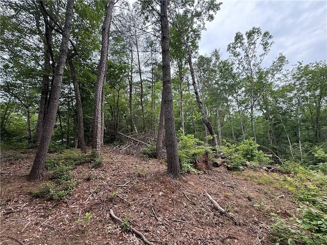 318 Gauley Falls Rd, Pickens, SC 29671 - photo 4