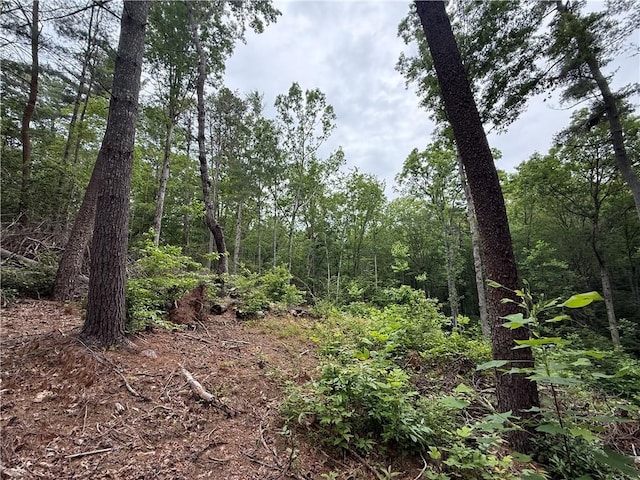 318 Gauley Falls Rd, Pickens, SC 29671 - photo 5