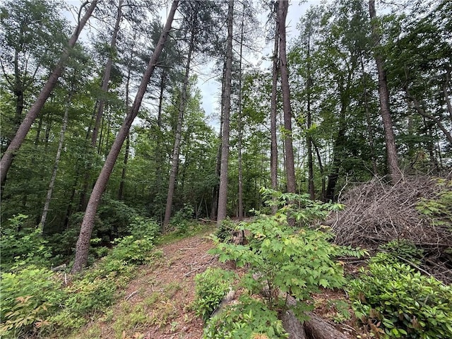318 Gauley Falls Rd, Pickens, SC 29671 - photo 6