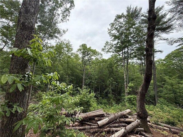 318 Gauley Falls Rd, Pickens, SC 29671 - photo 7