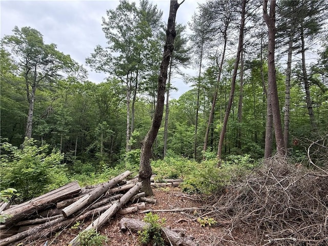 318 Gauley Falls Rd, Pickens, SC 29671 - photo 8