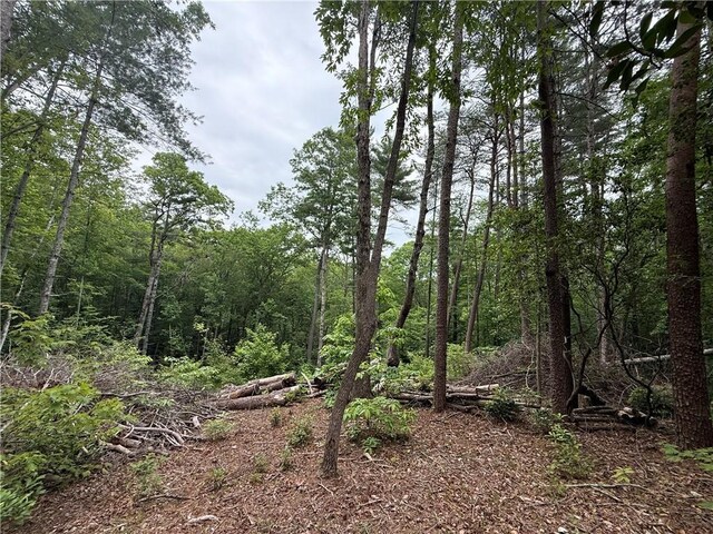 318 Gauley Falls Rd, Pickens, SC 29671 - photo 9