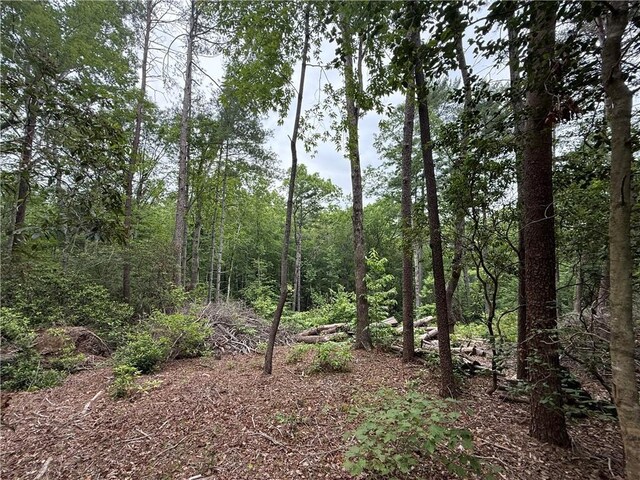 318 Gauley Falls Rd, Pickens, SC 29671 - photo 11