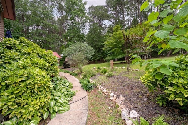 305 Mount Bay Dr, Westminster, SC 29693 - photo 40