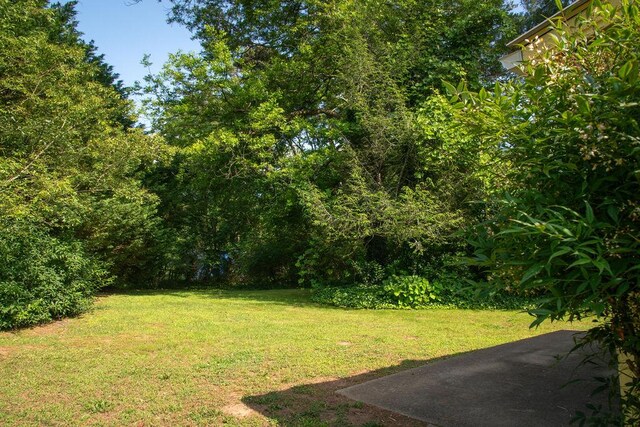 200 Bulwinkle Dr, Walhalla, SC 29691 - view of green lawn