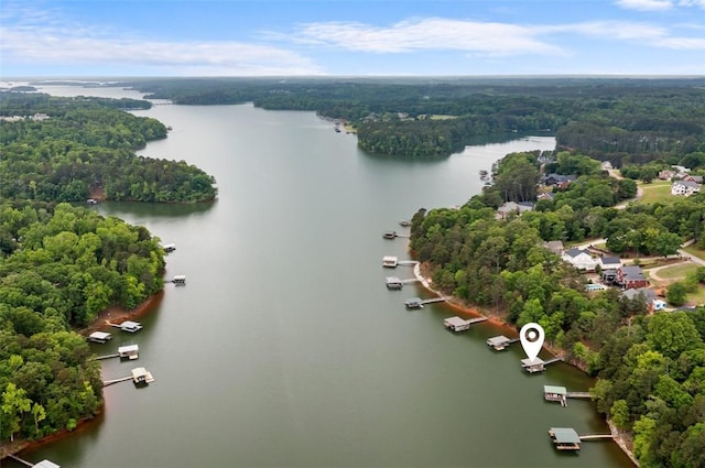 1036 N Shore Dr, Anderson, SC 29625 - bird's eye view of a large body of water and a heavily wooded area