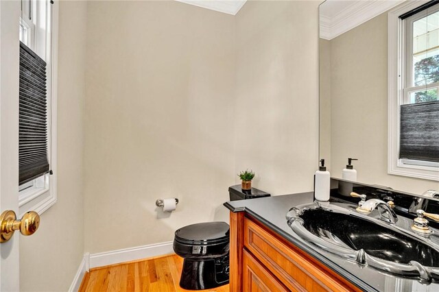 10 Laurelcrest Ln, Travelers Rest, SC 29690 - bathroom with vanity, wood finished floors, and ornamental molding