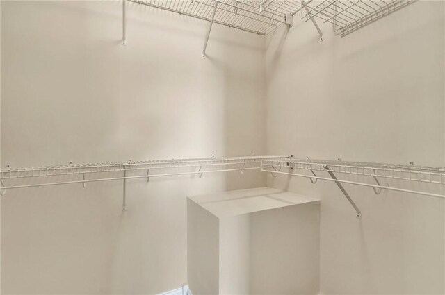 10 Laurelcrest Ln, Travelers Rest, SC 29690 - view of spacious closet