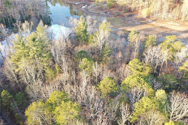 611 The Bear Blvd, Tamassee, SC 29686 - photo 4