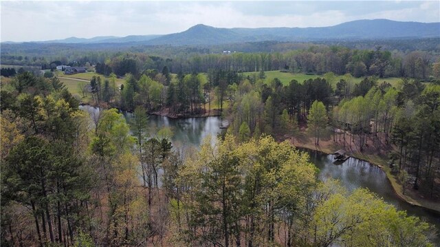611 The Bear Blvd, Tamassee, SC 29686 - photo 5