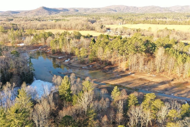 611 The Bear Blvd, Tamassee, SC 29686 - photo 8