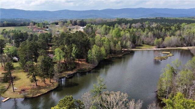 611 The Bear Blvd, Tamassee, SC 29686 - photo 9