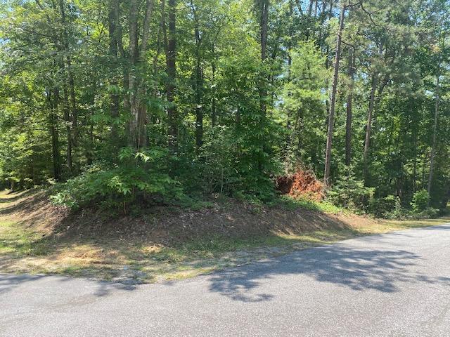 LOT36 Turtlehead Dr, Salem, SC 29676