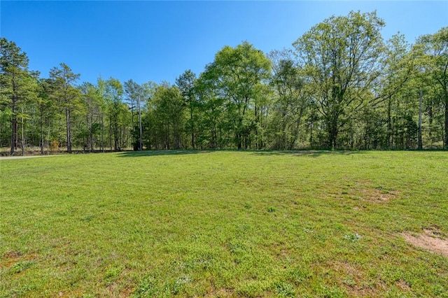101 Combine Ln, Anderson, SC 29622 - photo 6