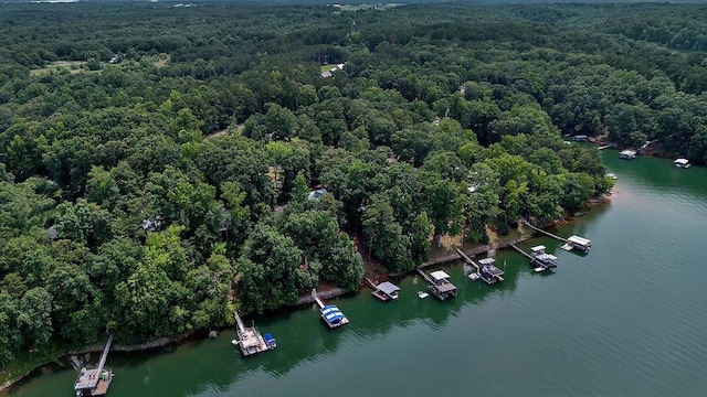 313 Lakeview Dr, Townville, SC 29689 - photo 17